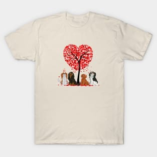 Cavalier King Charles Spaniels Love and Valentine Design T-Shirt